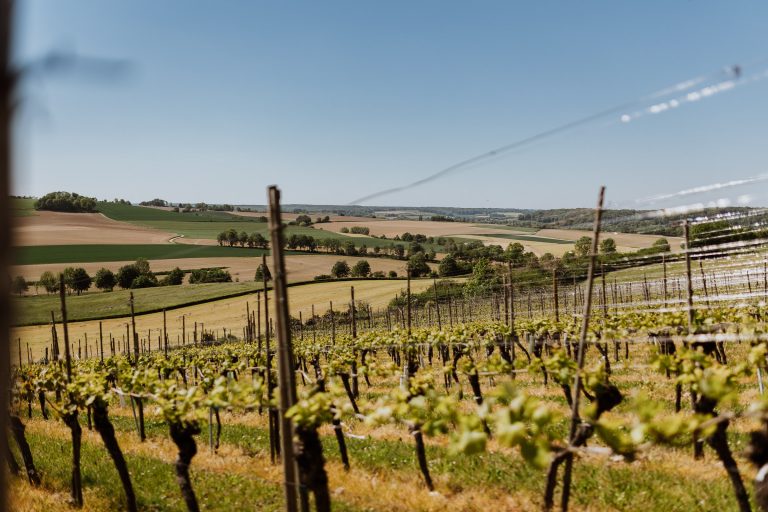 Travel photography | Chapeau Wijnroute 2021